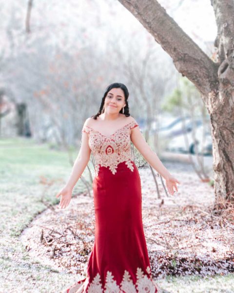 Stephanie Turcios Sweet Fifteen cover photo